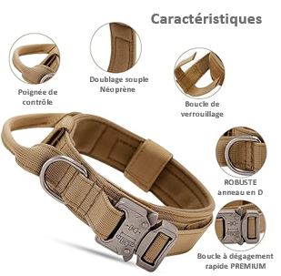 COLLIER TACTIQUE et LAISSE DE DRESSAGE solide pratique fiable, 7 couleurs ou coloris, 3 tailles , pour chien moyens ou grands, BERGER ALLEMAND, MALINOIS, chien sportif, avec poignée de proximité, boucle métal robuste , anneau en D , randonnée, patrouille, PATPATROUILLE, police, armée, militaire, promenade,. Confort, Nylon alliage de ZINC, TOUTES RACES . CADEAU IDEAL Caractéristiques