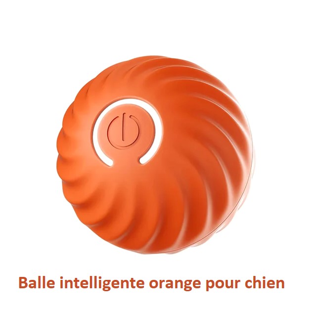 Balle interactive intelligente pour chien et chat rechargeable USB  autonomie de 3 heures 