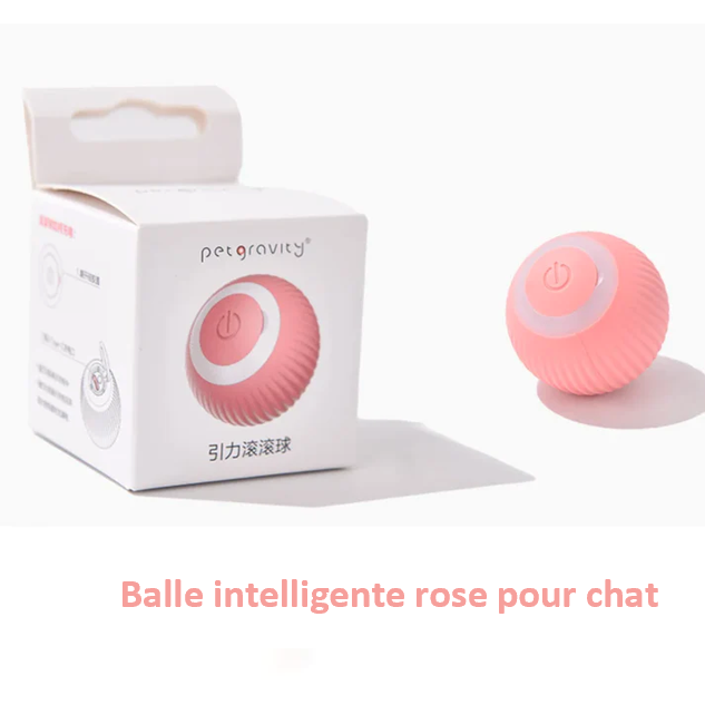 Balle interactive intelligente pour chien et chat rechargeable USB  autonomie de 3 heures 