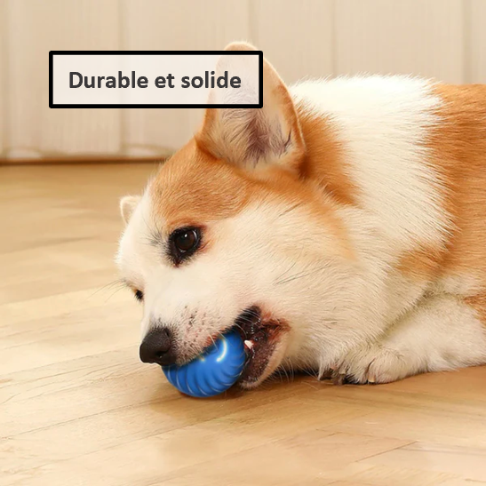 Balle interactive intelligente pour chien et chat rechargeable USB  autonomie de 3 heures Durable et solide