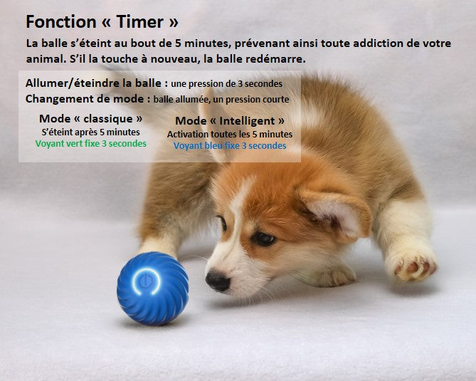 Balle interactive intelligente pour chien et chat rechargeable USB  autonomie de 3 heures  Fonction timer 