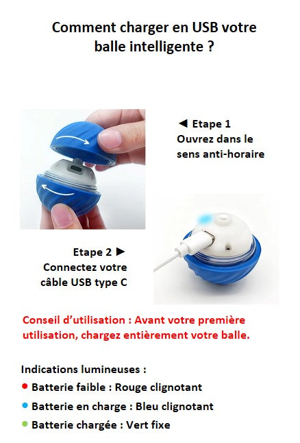 Balle interactive intelligente pour chien et chat rechargeable USB type-C  autonomie de 3 heures 