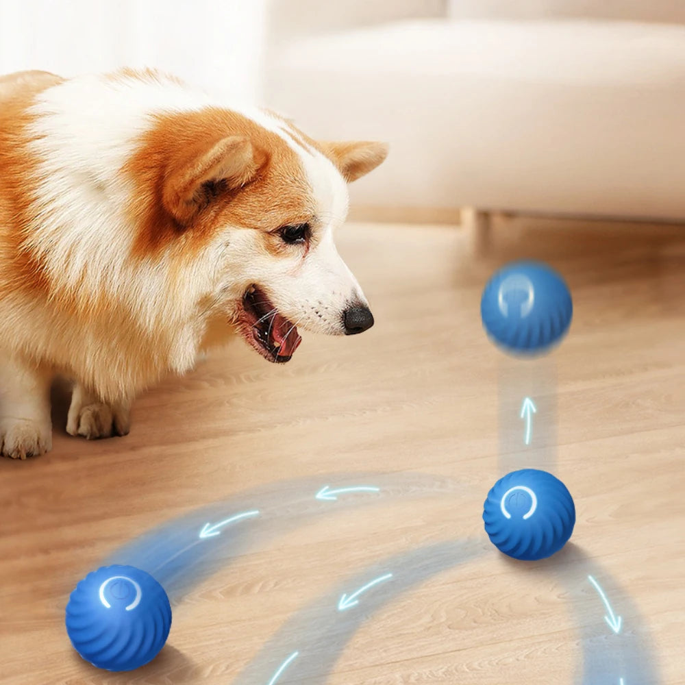 Balle intelligente rechargeable USB pour votre chien  et chat cadeau idéal